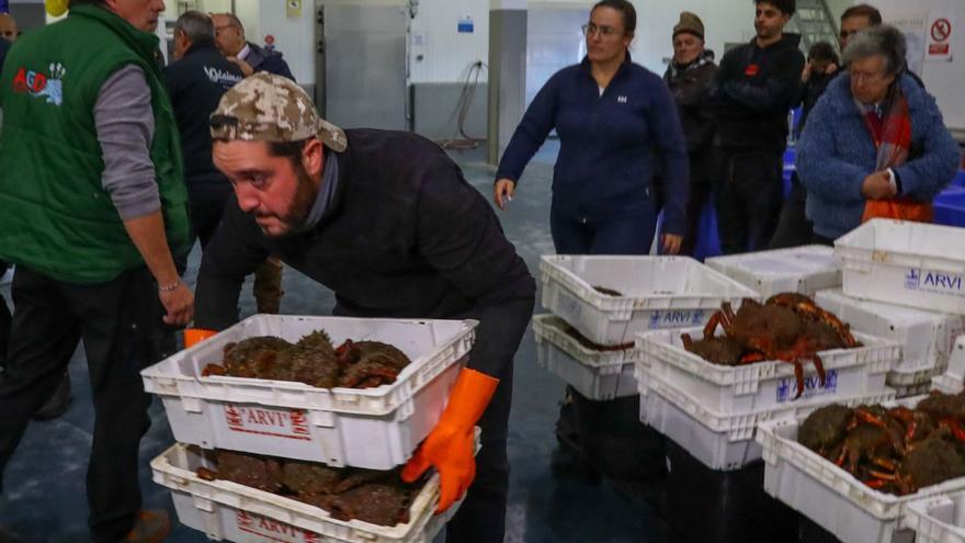 Subasta de centollo en la lonja grovense. |   //  IÑAKI ABELLA