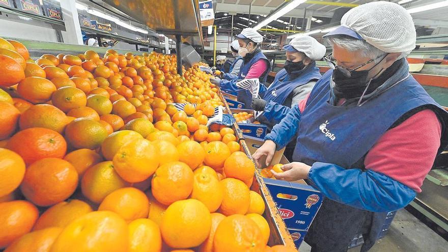 Pactem Nord rep 19.000 € de la Diputació per a la inserció laboral de dones
