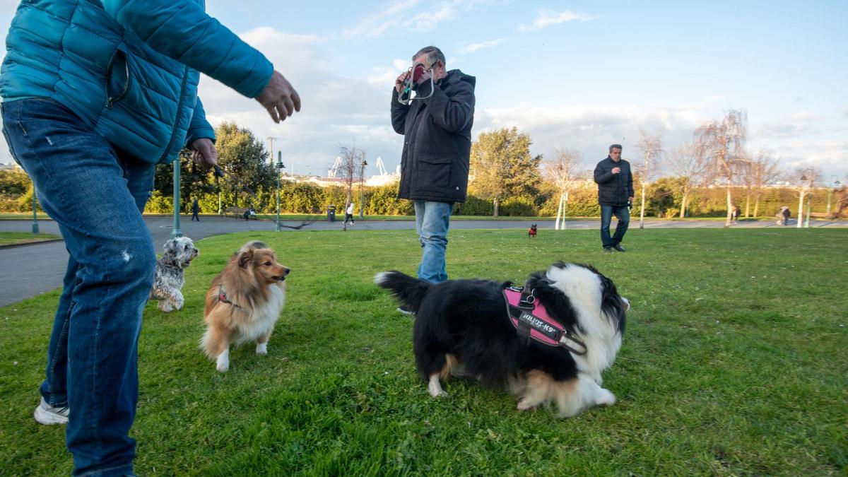 Dueños con sus perros en el Parque de San Diego