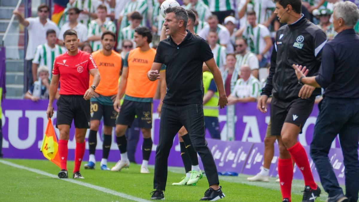 Iván Ania durante el Valladolid-Córdoba CF