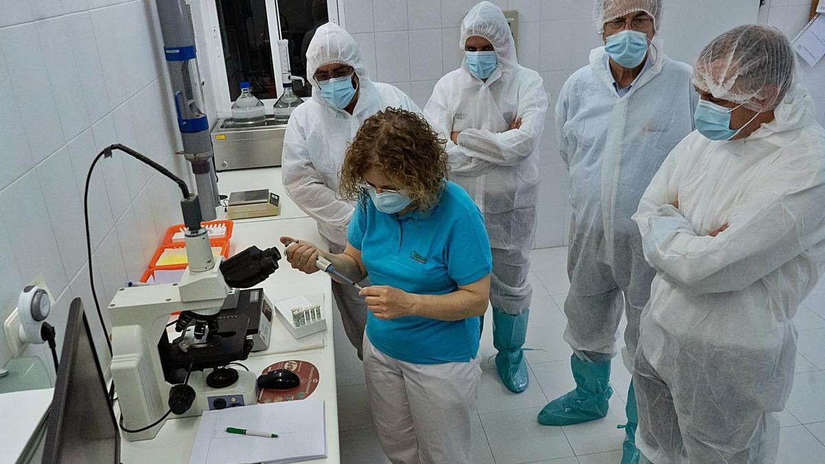 Los responsables de la Diputación y de Cobadu visitan el laboratorio del Centro de Inseminación. | J. L. Fernández