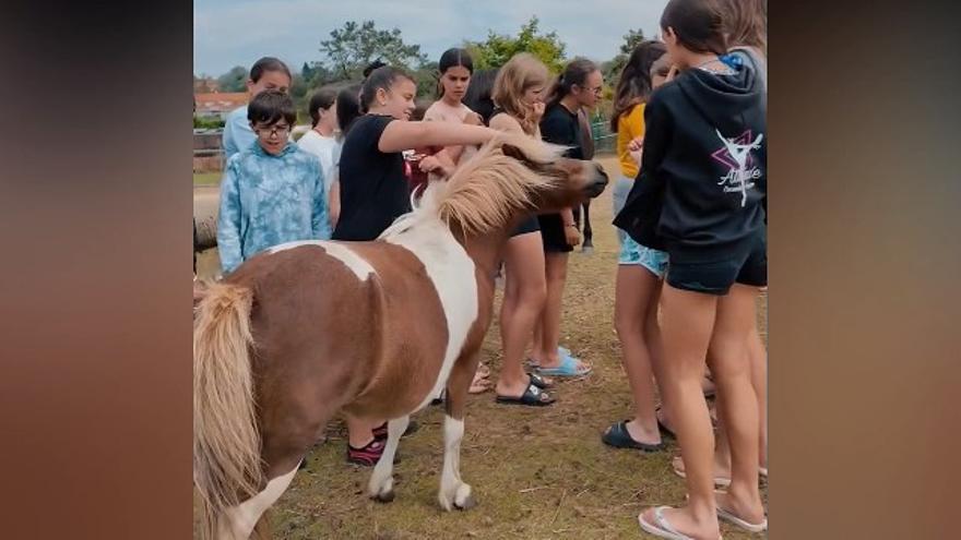 Entre animales: así fue la excursión de los alumnos de IES A Sangriña de A Guarda a La Isla de Tali en Nigrán
