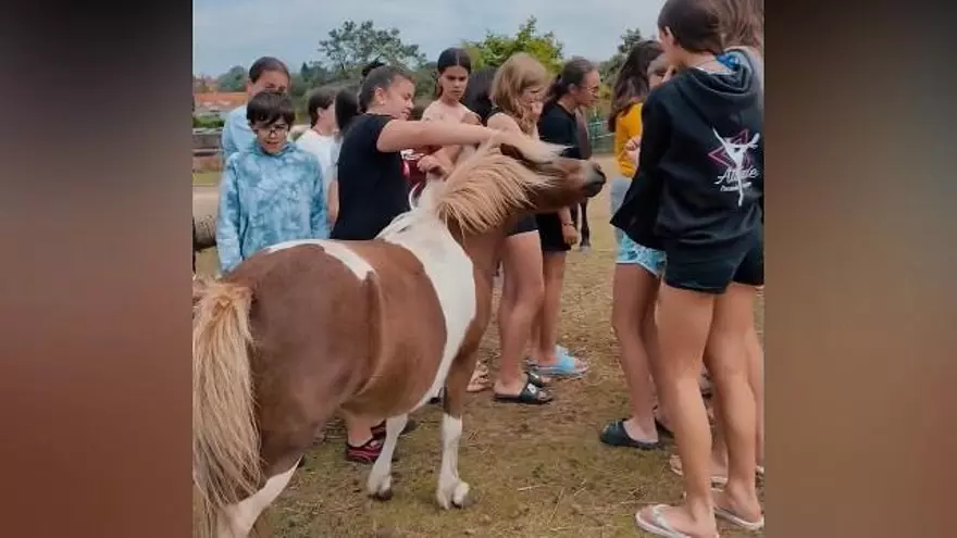 Entre animales: así fue la excursión de los alumnos de IES A Sangriña de A Guarda a La Isla de Tali en Nigrán