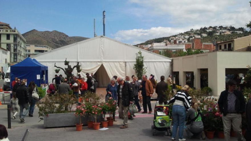 La Fira té lloc al centre de la vila.