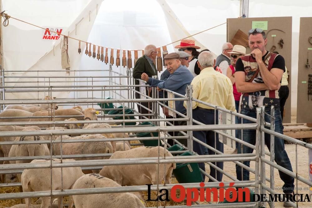 Feria del Cordero Segureño en Caravaca