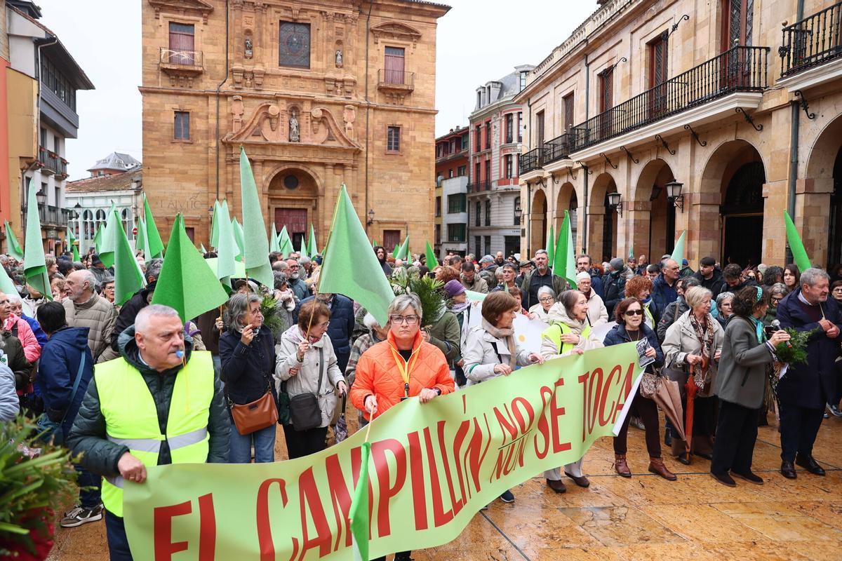 La manifestación para pedir la paralización del parking del Campillín.