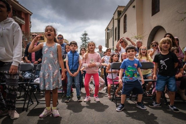 Actividades en el casco histórico de La Laguna por el Día Internacional de la Familia