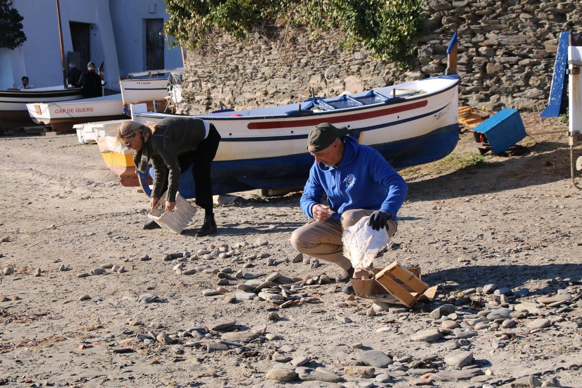 Retornen una tona de "passanelles" a la platja de Port Lligat