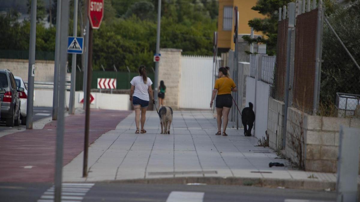 Dos jóvenes pasean con sus perros por una avenida de la periferia de Alzira, en una imagen de archivo.