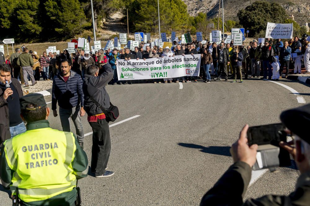 Agricultores de la provincia se manifiestan contra el plan de erradicación de la Xylella del Consell