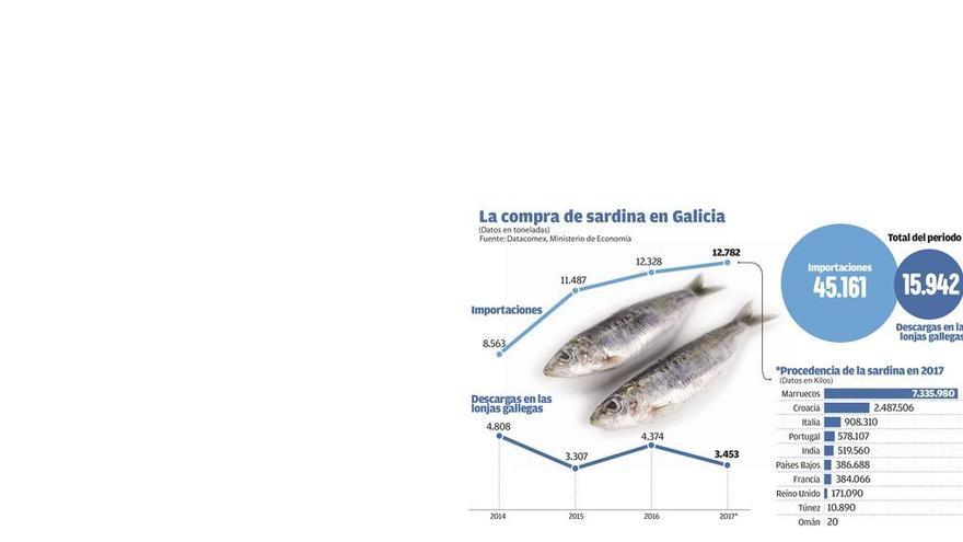 La importación de sardina aumenta un 50% en Galicia desde el inicio del plan de gestión