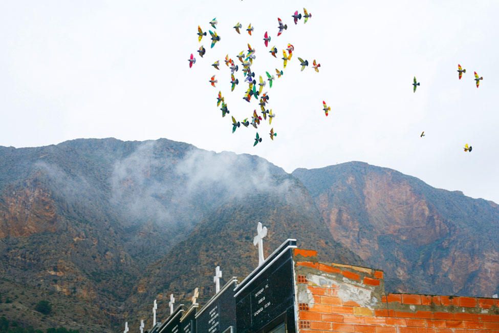 Fotografía de la muestra 'Palomas al aire' de Ricardo Cases