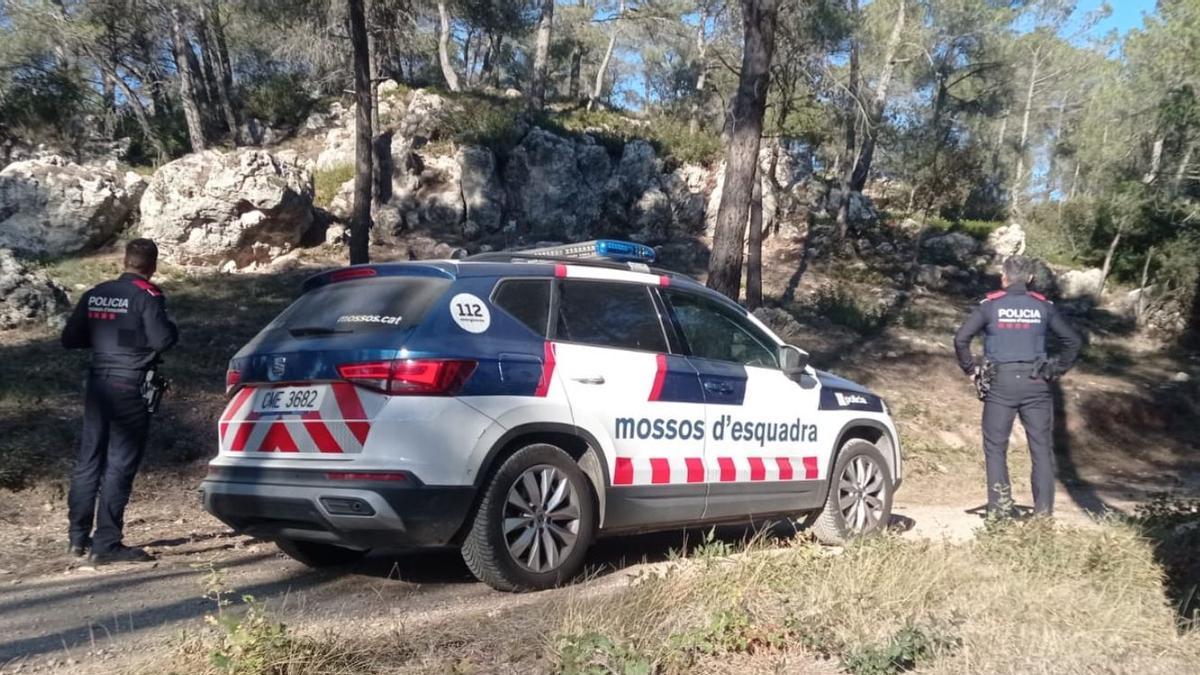 Efectius dels Mossos buscant els gossos a Corbera de Llobregat