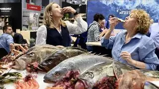 Alianza catalana para liderar la distribución de pescado y marisco