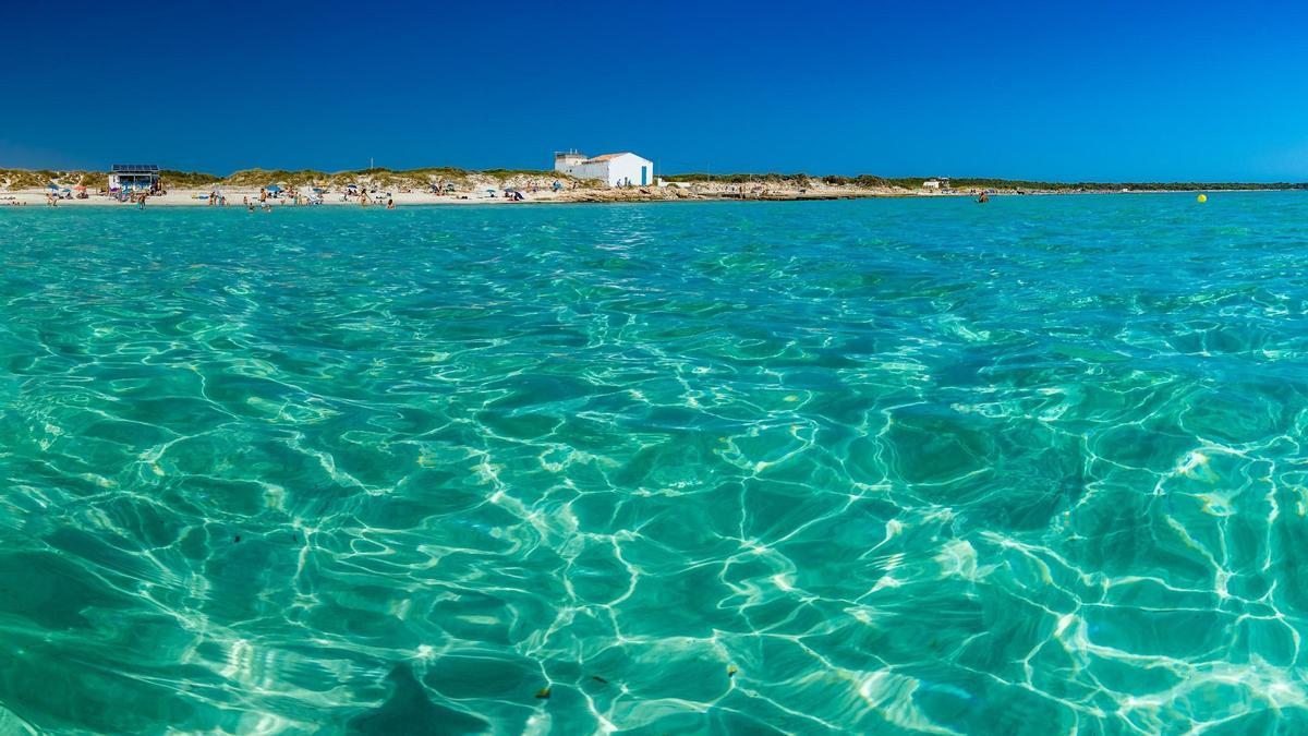 Los océanos del mundo superaron otro récord de calor en 2025