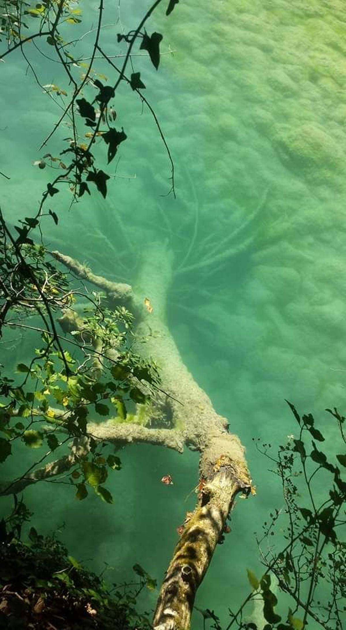 Naturaleza sumergida del Urederra