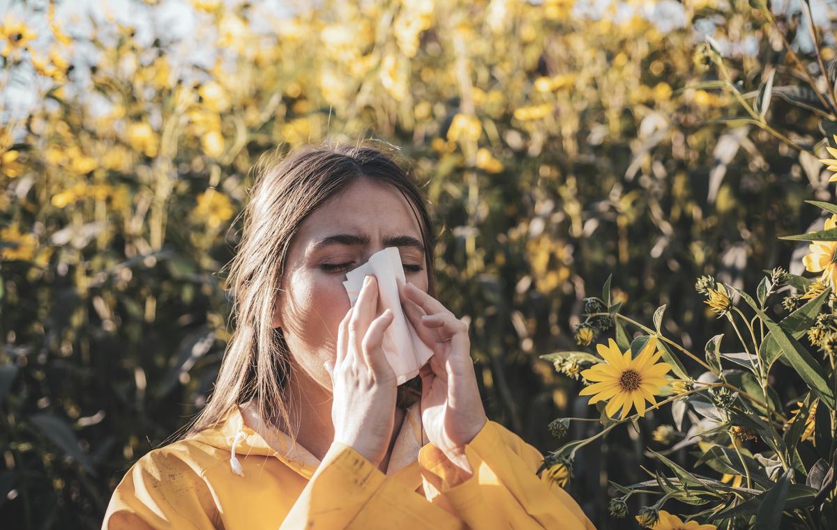 Los síntomas de alergia primaveral suelen pronunciarse durante los días de mayor polinización.