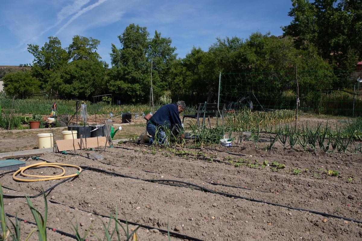 GALERÍA | Huertos municipales en Zamora: Creando comunidad entre tomates y cebollas