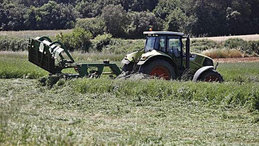 Un tractor treballant un camp en una foto d&#039;arxiu.