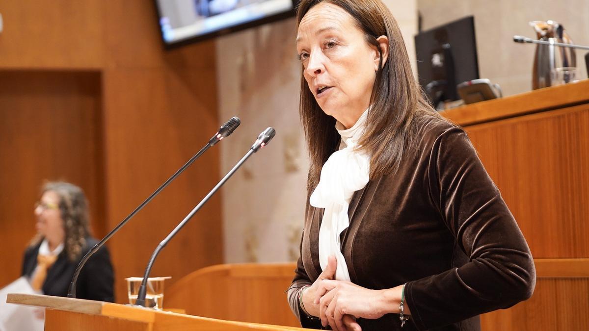 La consejera de Bienestar Social y Familia, Carmen Susín