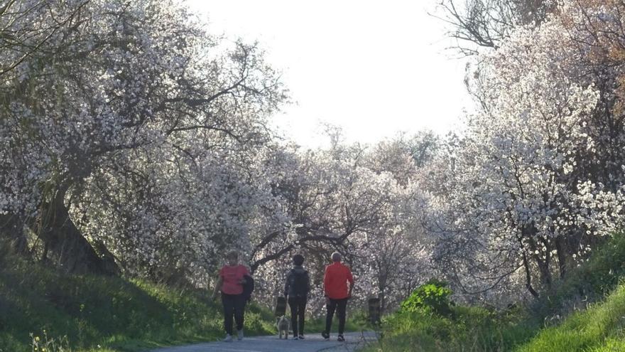 Campos blancos de la Subbética