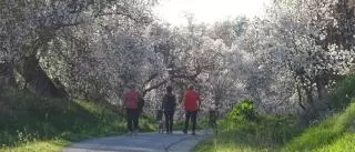 Campos blancos de la Subbética