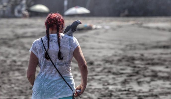 Reapertura de playa Jardín