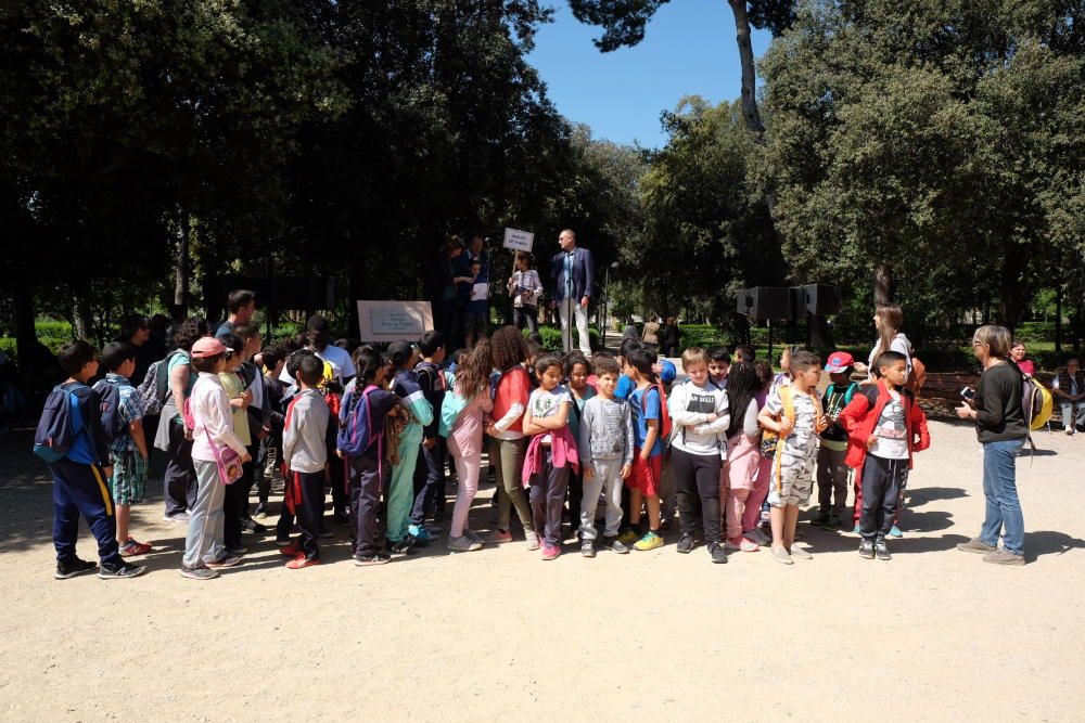 Festa de l´Arbre «100 anys»