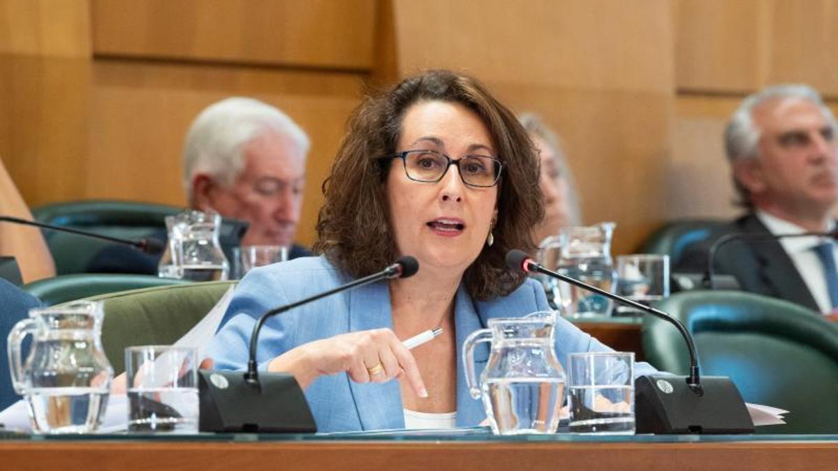 Eva Torres, portavoz de Vox en el Ayuntamiento de Zaragoza.