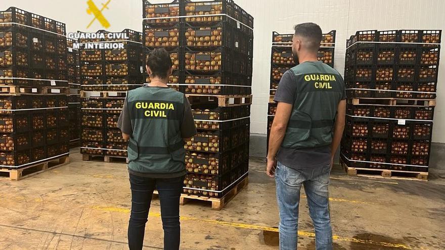 Detenido un extrabajador de un almacén por robar 25 toneladas de naranjas