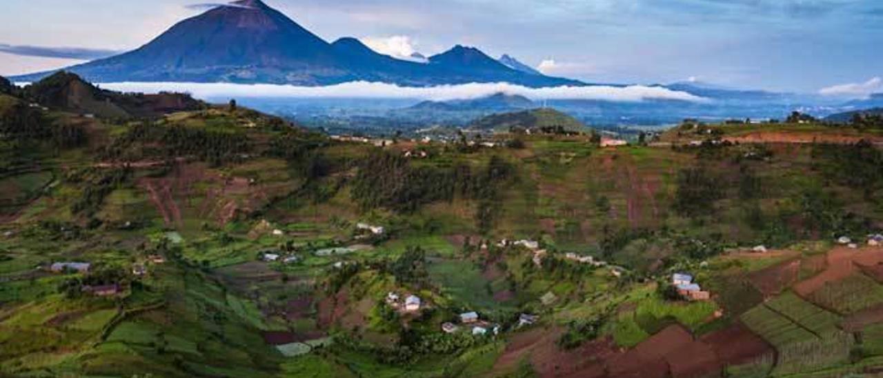 Una zona de Uganda en la que se ven las tierras completamente cultivadas.