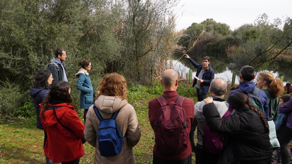 El Govern lleva a cabo la restauración ambiental de las lagunas asociadas a la depuradora de Binissalem