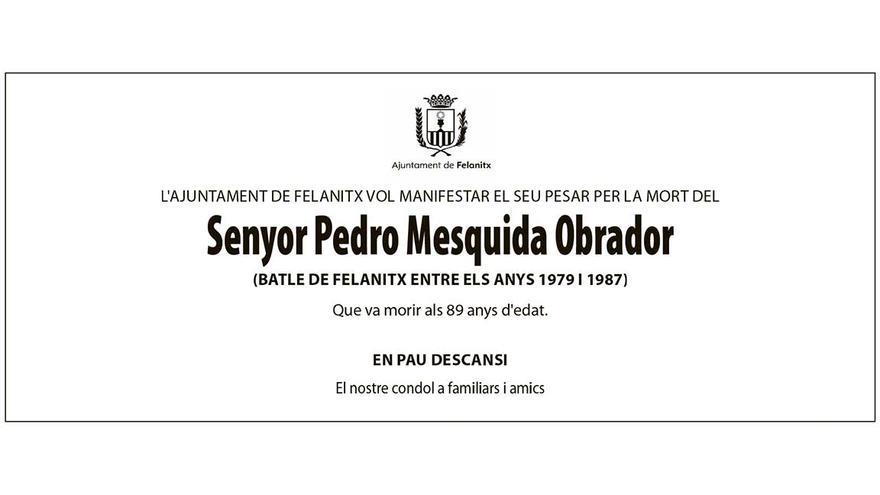 Pedro Mesquida Obrador