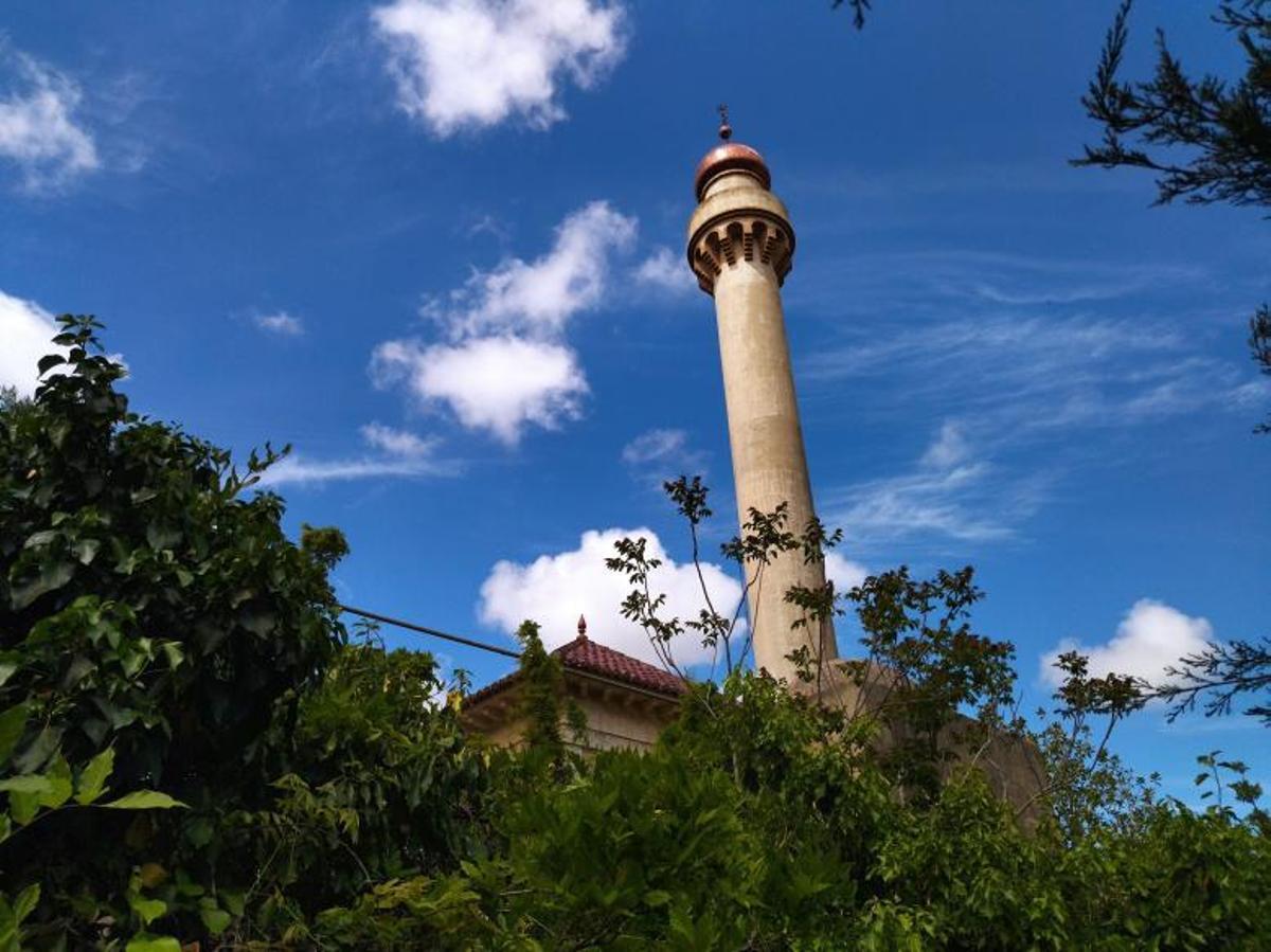 La histórica finca de la Xara del minarete emerge de la maleza