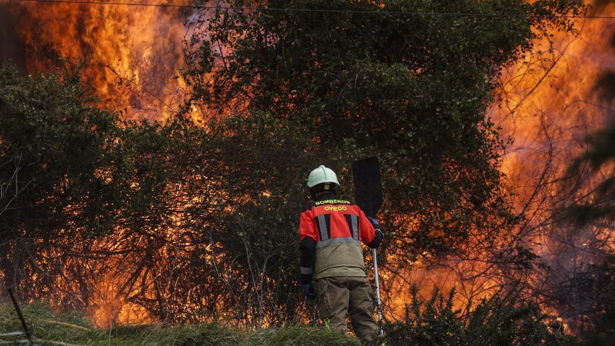 Un bombero del Ayuntamiento de Oviedo lucha contra el fuego junto a las casas de Constante, en el Naranco.
