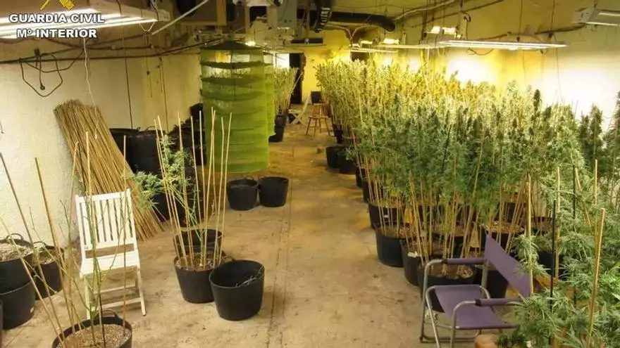 Absueltos siete acusados de tráfico de drogas al declarar ilegal el registro de una nave en San Vicente donde había marihuana