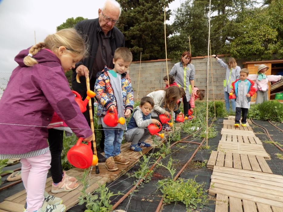 Un hort intergeneracional al pati de l'escola Paidos