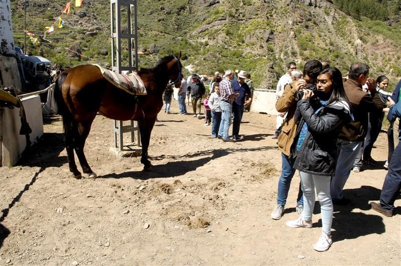 XX Feria Equina de La Culata de Tejeda