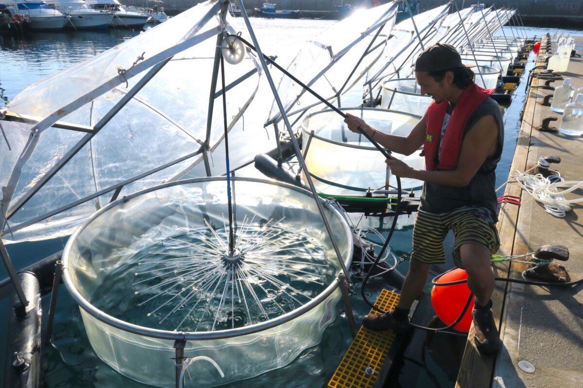 Canarias, sede un experimento para acelerar la captación de CO2 por el mar