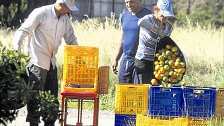 Almenara, la Llosa y Moncofa piden que los almacenes ‘fichen’ a sus parados