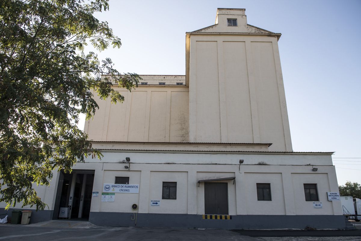 Fotogalería | Una jornada de trabajo en el Banco de Alimentos de Cáceres