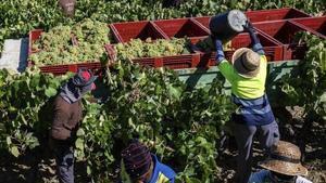 Els migrants ocupen el 40% dels treballs de la llar i cures