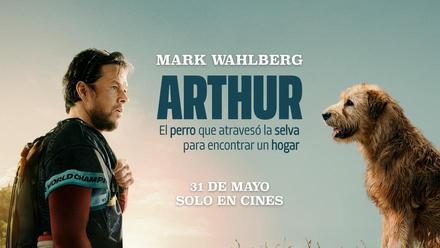 Arthur, el perro que atravesó la selva para encontrar un hogar