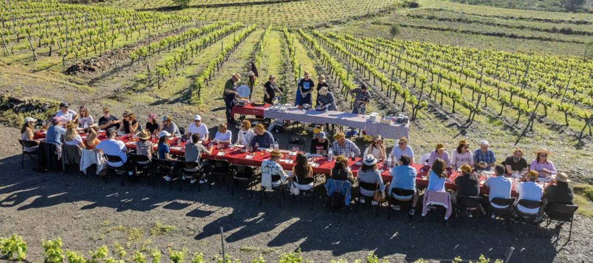 Un esmorzar entre vinyes  proposat pel Vívid en una edició passada.