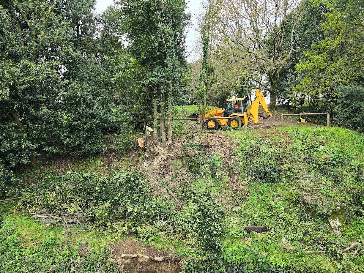 La tala de árboles en el Parque Valdés Bermejo para garantizar la seguridad ciudadana.