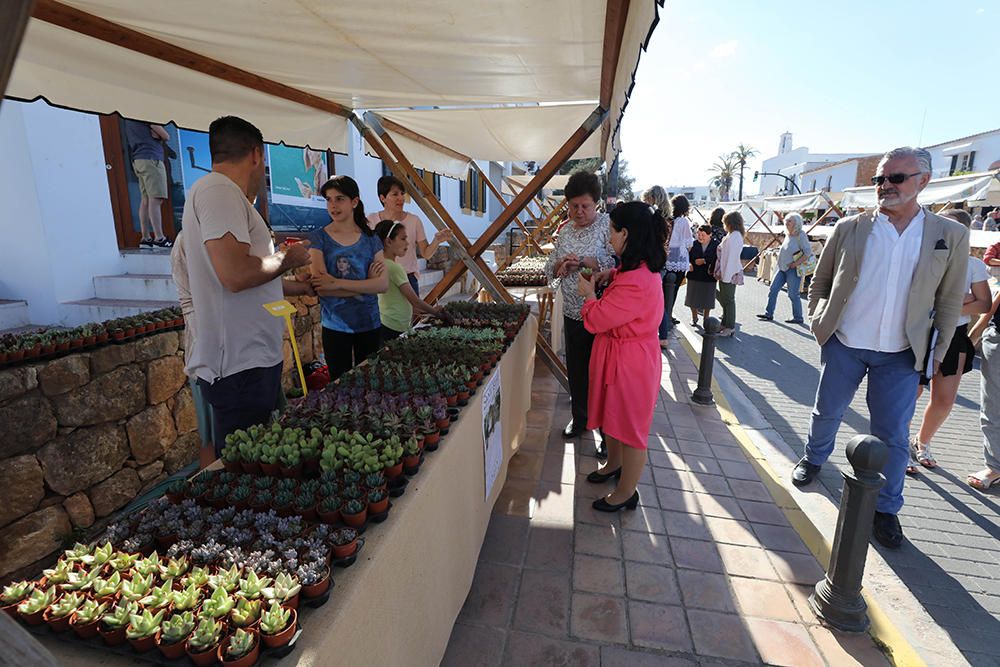 Fiestas de San Isidro en Sant Josep