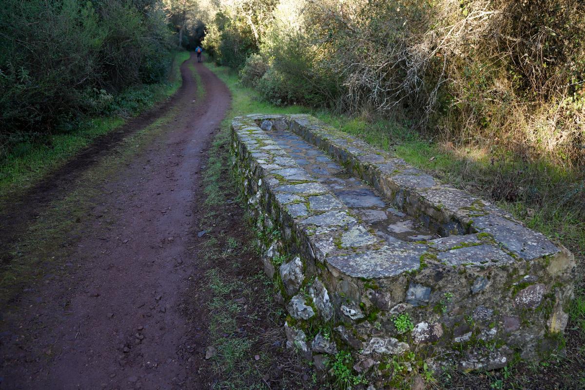 Senderos a Fondo. Ruta 6 (Vereda de Trassierra)