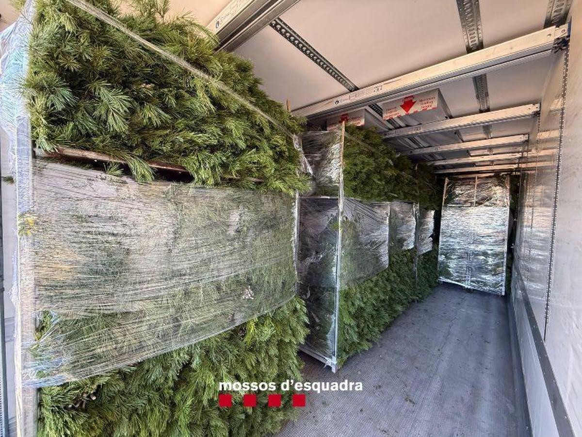 Незаконный сбор лентиско угрожает экосистемам Каталонии