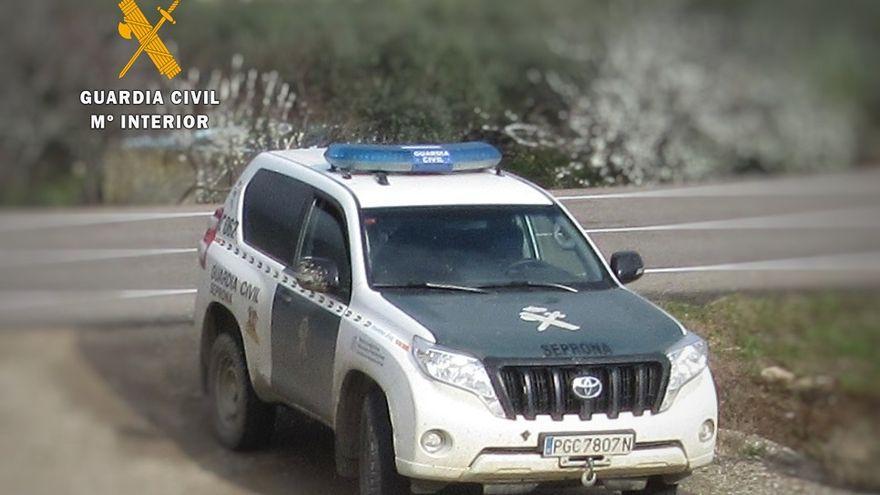 Muere asfixiado un agricultor al volcar la mula mecánica que manejaba en un campo de cerezos en Codos (Zaragoza)