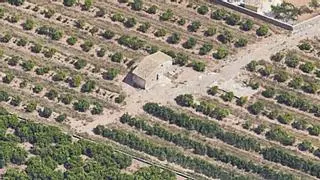 La AECC saca a subasta tres parcelas rústicas en Castelló para recaudar fondos. ¿Dónde están?
